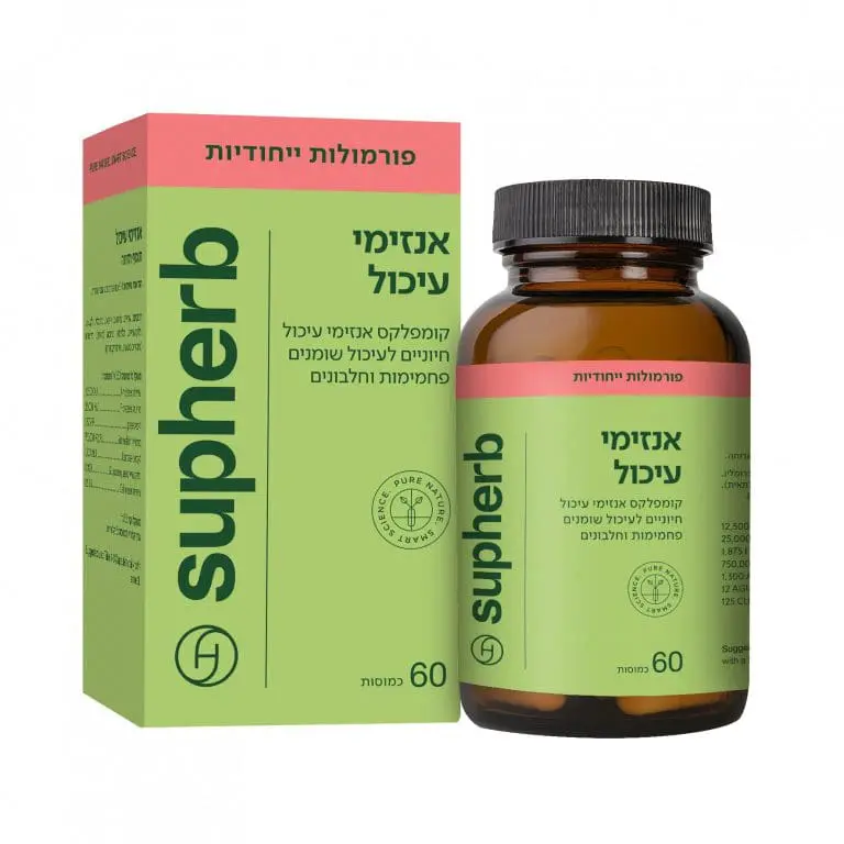 אנזימי עיכול: תפקידם ומנגנוני פעולתם