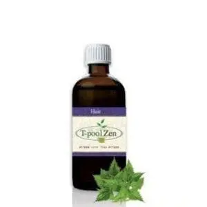 הר זן - טיפול זן