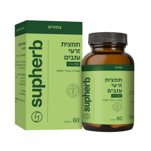 תמצית זרעי ענבים