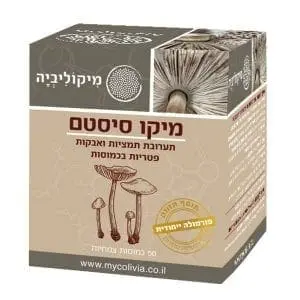 מיקו סיסטם