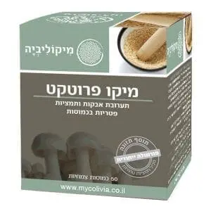 מיקו פרוטקט
