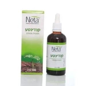 קנדינטע