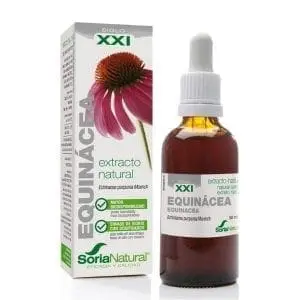 תמצית אכינציאה