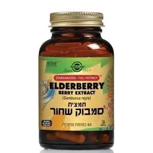 סמבוק שחור   Elderberry