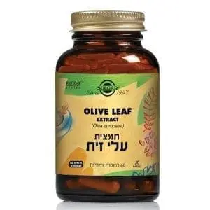 עלי זית - Olive Leaf