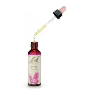 תמצית באך  24 PINE