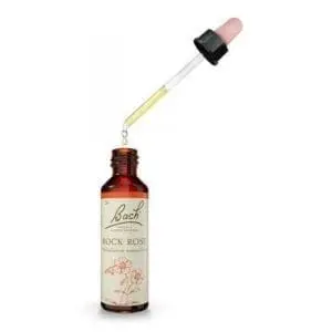 תמצית באך 26 ROCK ROSE