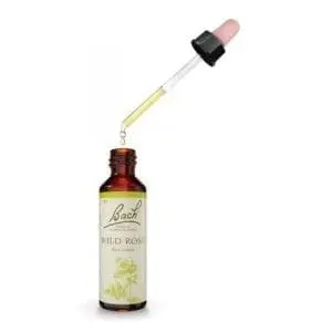 תמצית באך 37 WILD ROSE