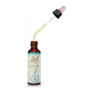 תמצית באך 8 CHICORY