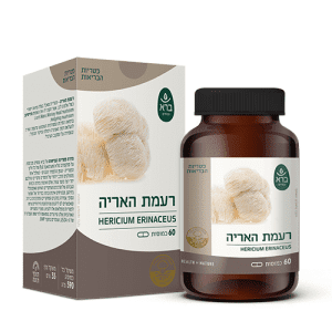 רעמת האריה - Hericium
