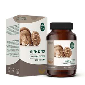 שיטאקה - Lentinula edodes