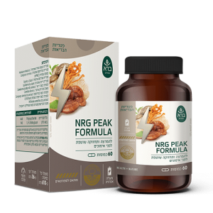 פורמולת אנרג׳י ברא