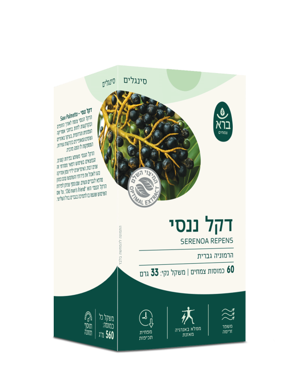 דקל ננסי
