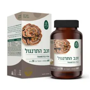 פטריית זנב התרנגול Trametes