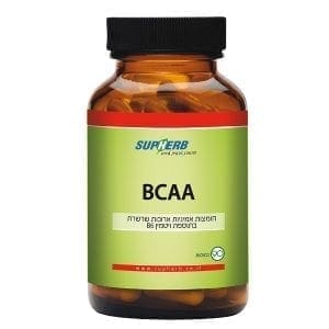 BCAA חומצות אמיניות מסועפות